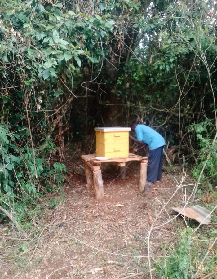 Bee Keeping